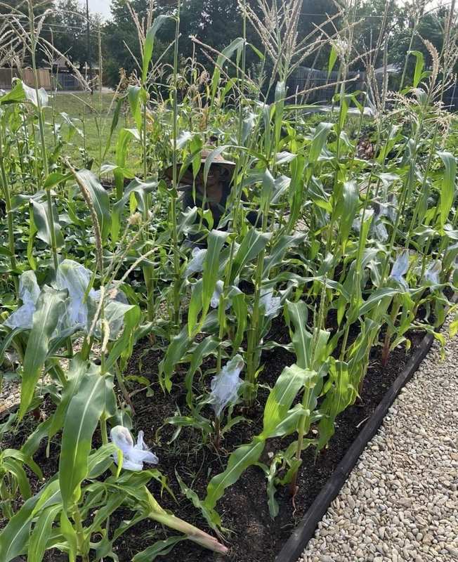 LaKisha with clipboard — Try Gardening, Find God