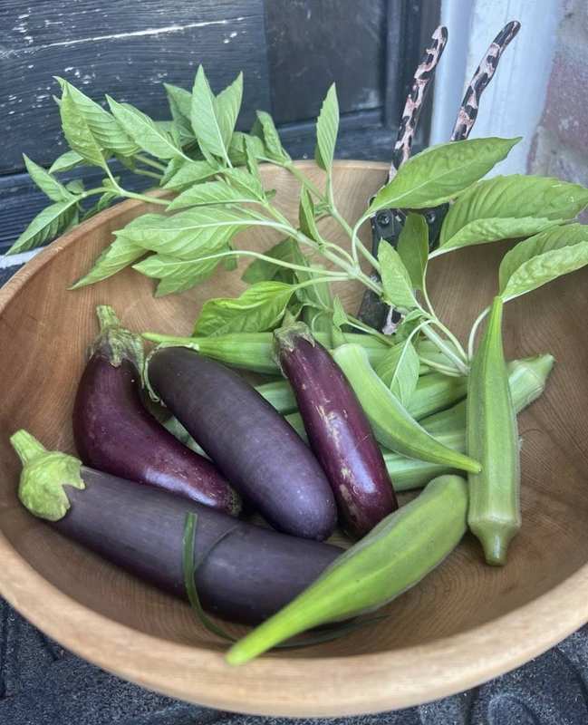 Saved seeds from the harvest