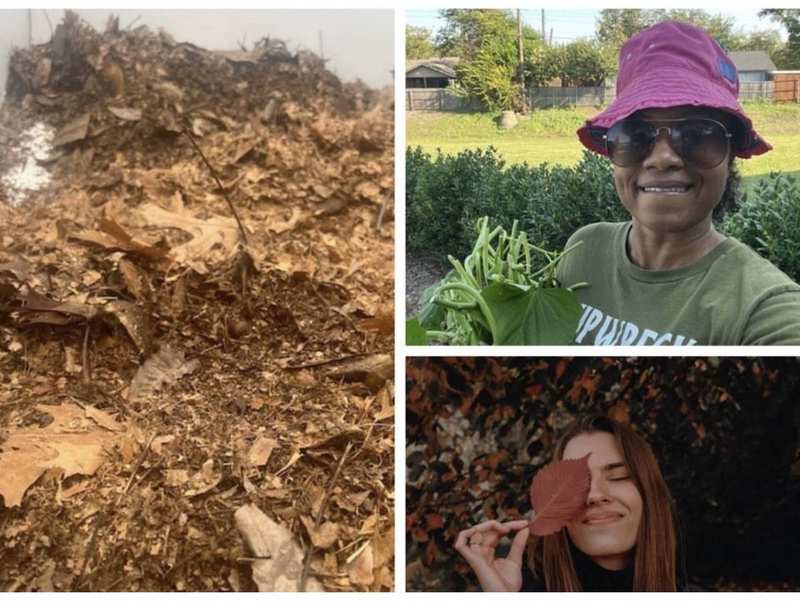 Compost pile and green bean harvest collage