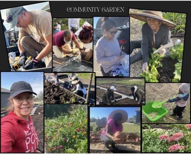 Community Garden volunteer collage
